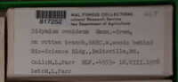 Image Associated With the Occurence